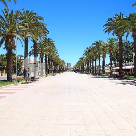 Uhc Berenguer Salou